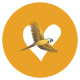 DevolveremManaus